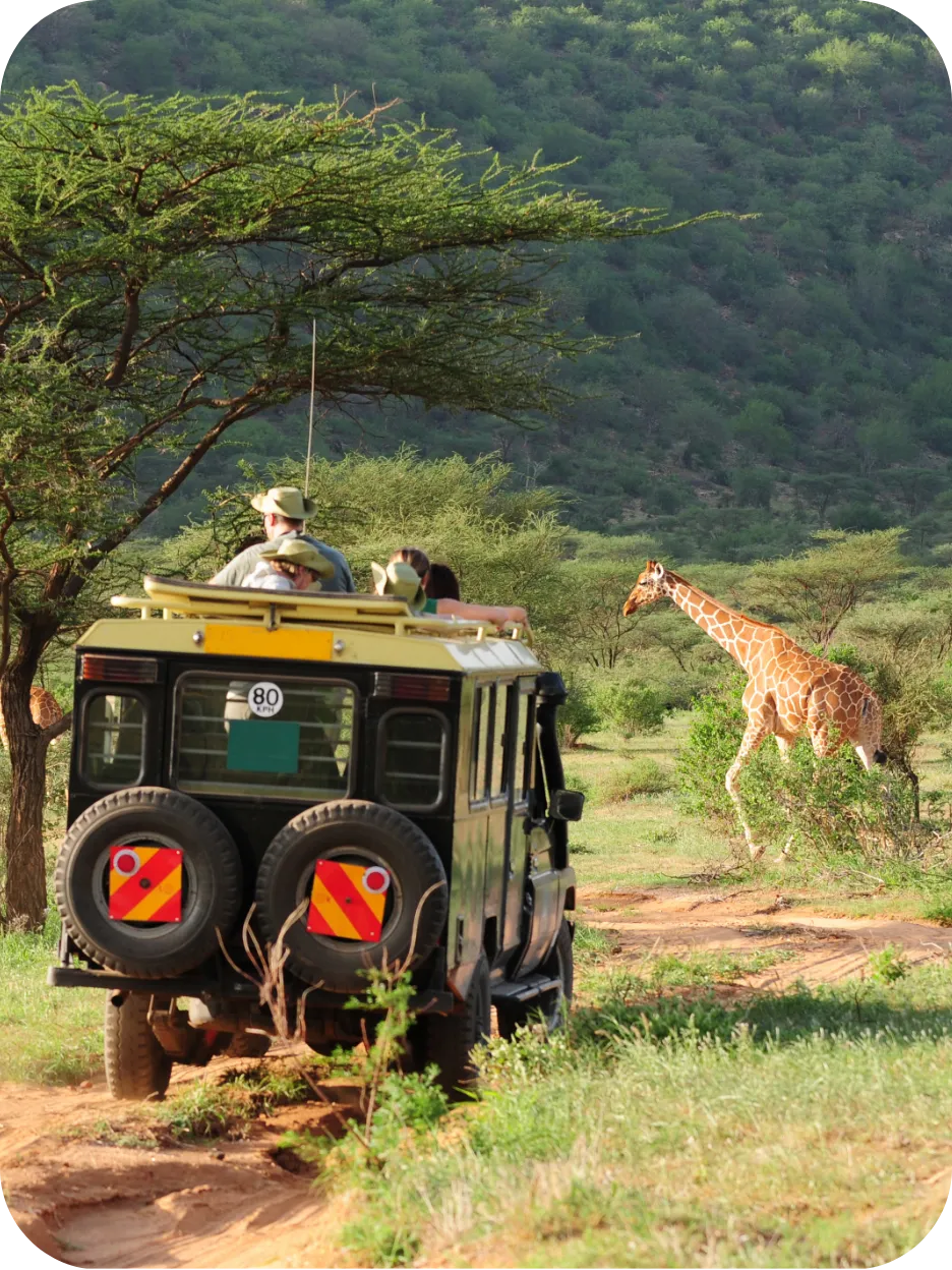 Illustration of TRAVEL eSIM Kenya eSIM travel data plan