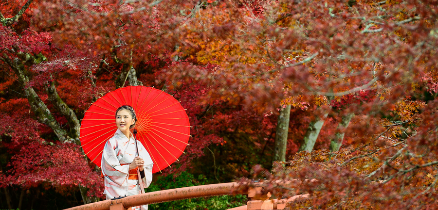Best Things to Do in Japan in 2025: Top Attractions & Unique Experiences