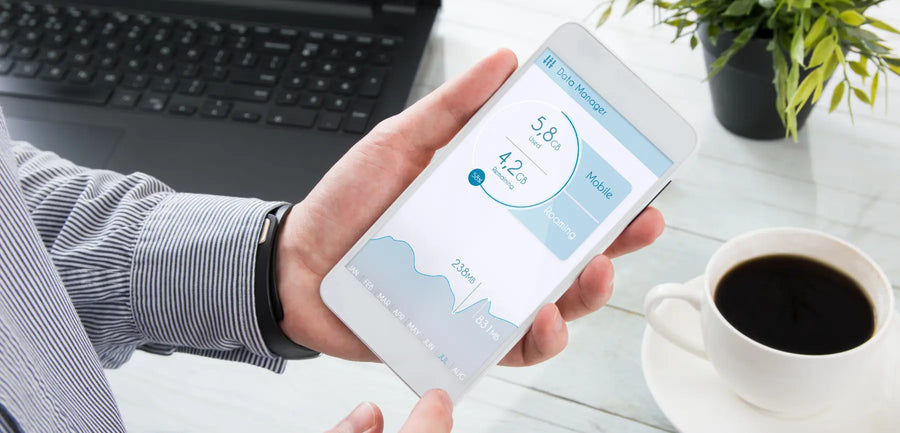 How to Monitor Your Data Usage with RapideSIM	