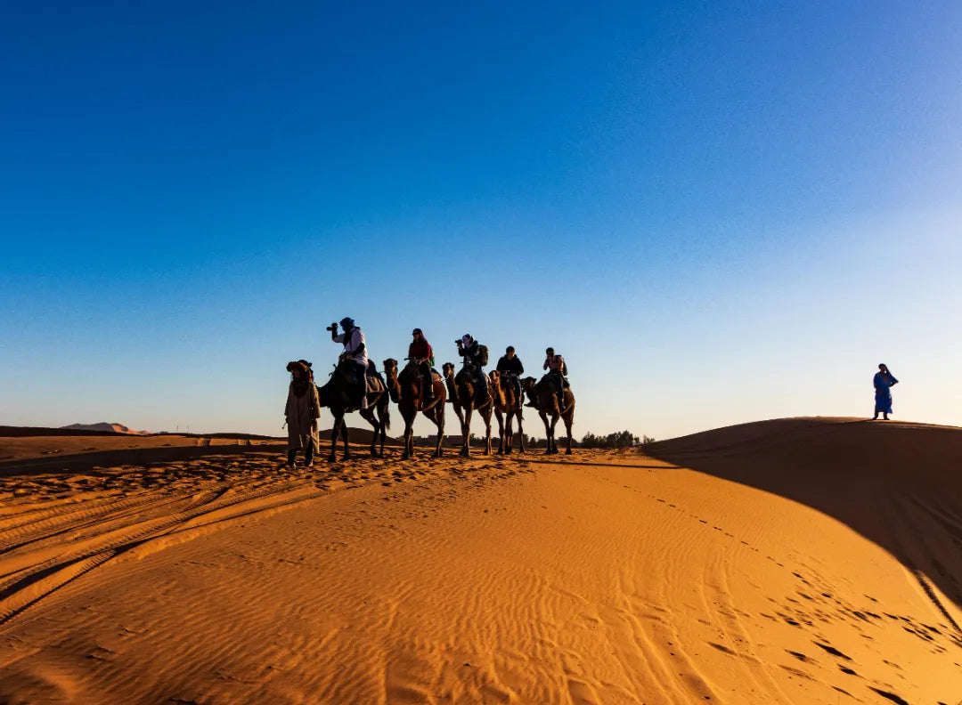 Here is the best trip plan for Moroco in 2025