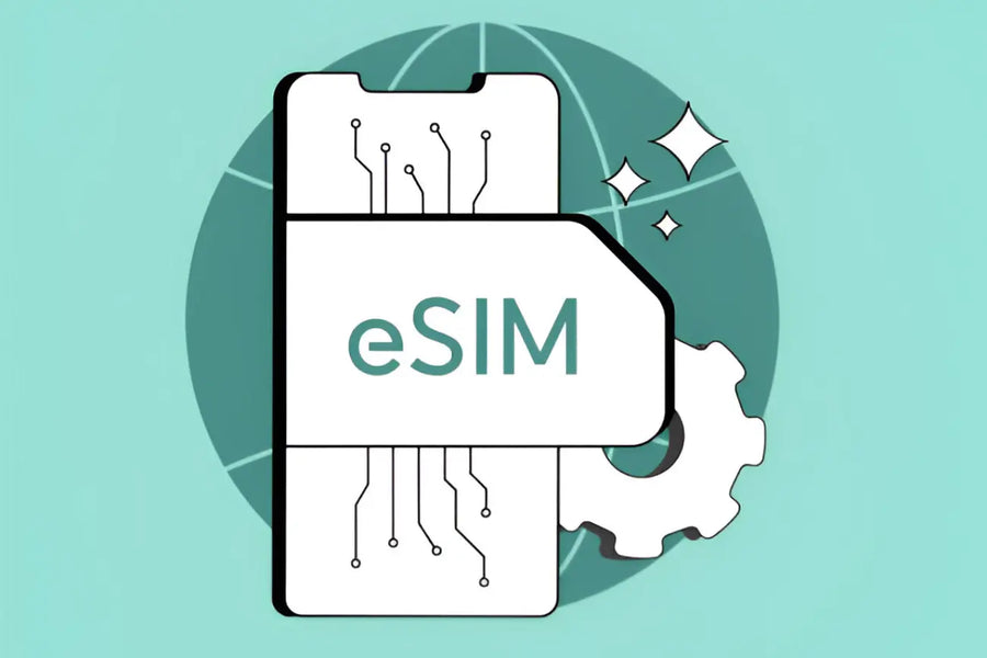 How Often Can You Use Your eSIM ? A Guide by RapideSIM
