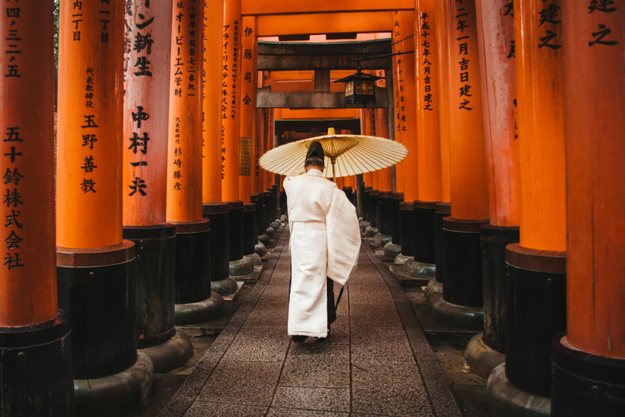 10 Days in Japan in 2025: No Roaming, Just Adventure