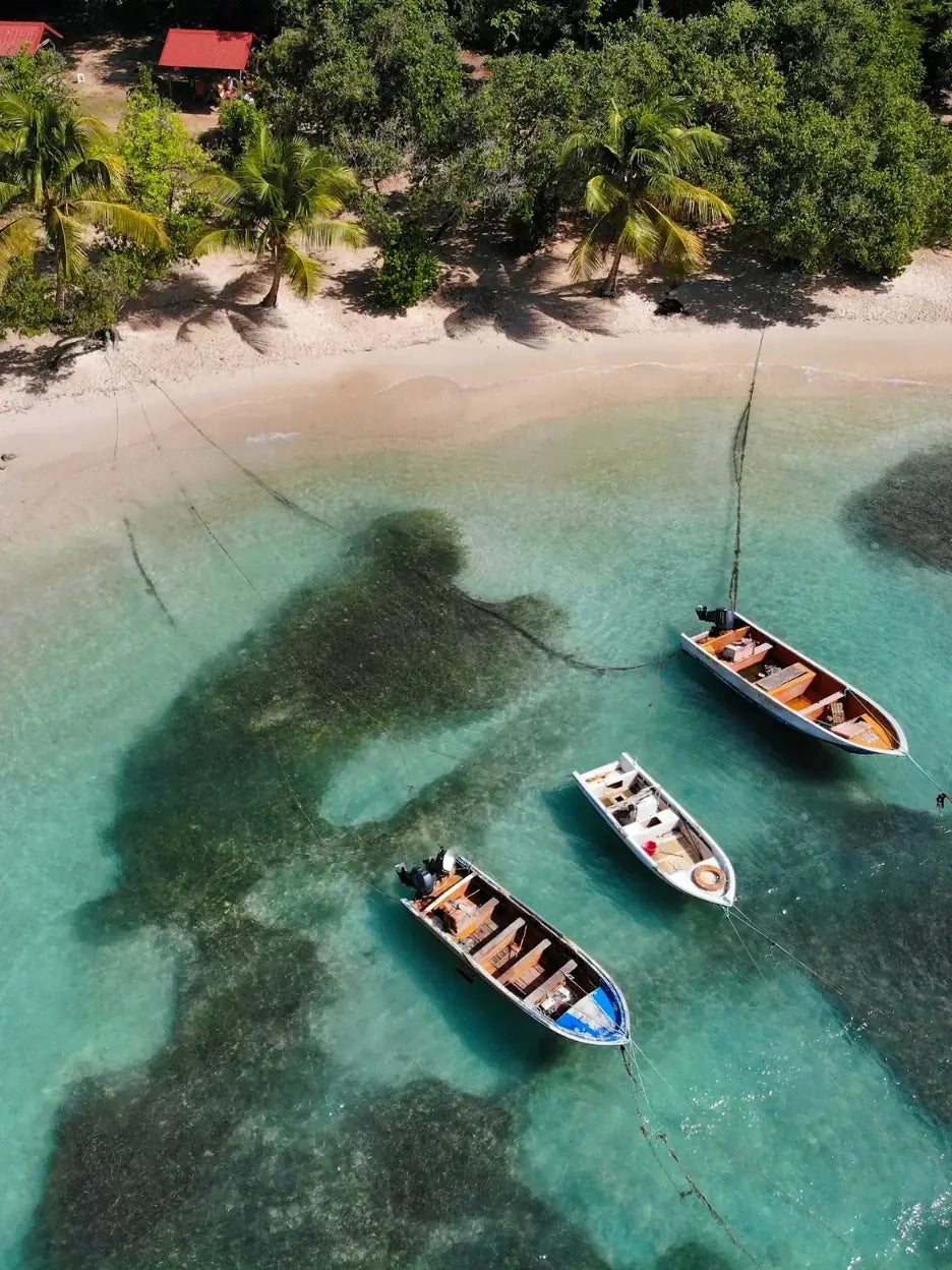 Travel eSIM for Guadeloupe — RapideSIM