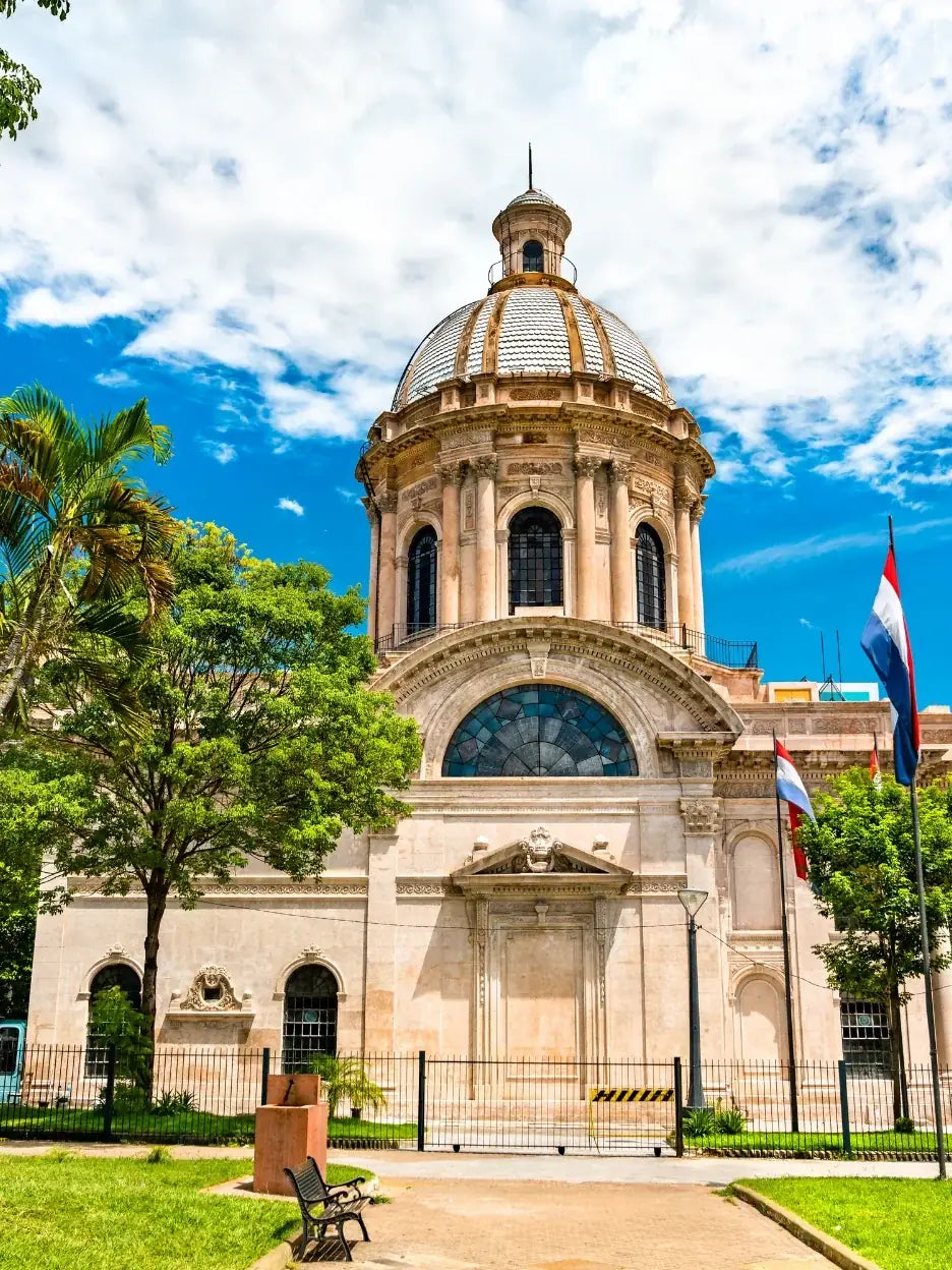 Travel eSIM for Paraguay — RapideSIM