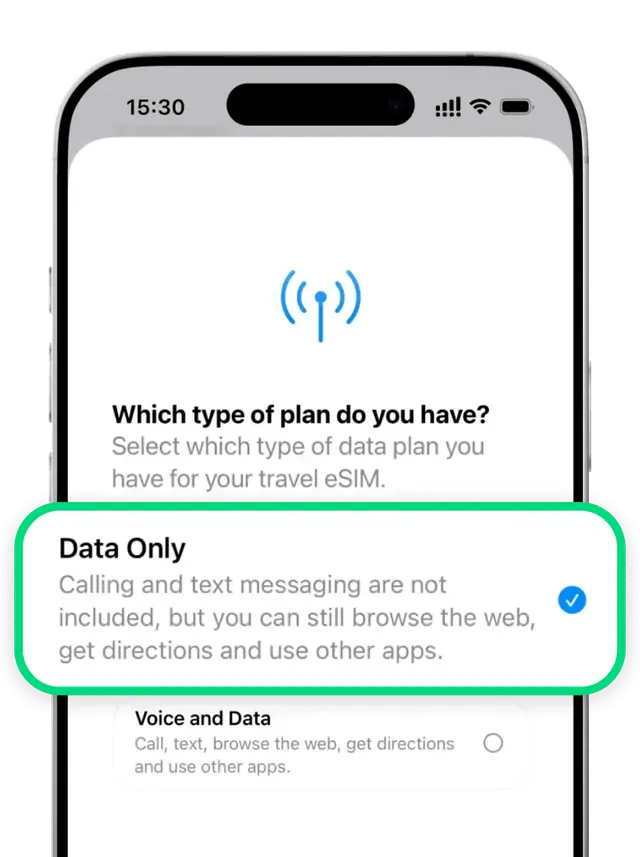 Choose "Data Only"