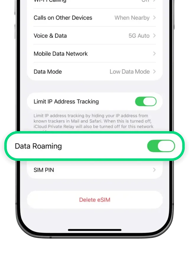 Enable Data Roaming